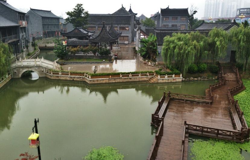 救援大嘴鸟